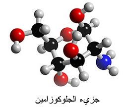 جزيء الجلوكوزامين
