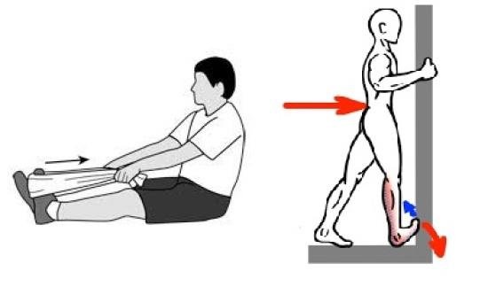 تمرينات لتقوية عضلة الساق