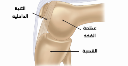 ثنية الركبة قد تكون من اسباب الم الركبة